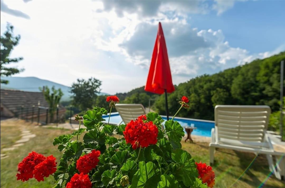 Honey House Villa Grabovac  Exterior photo